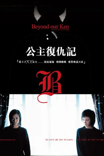 公主复仇记海报