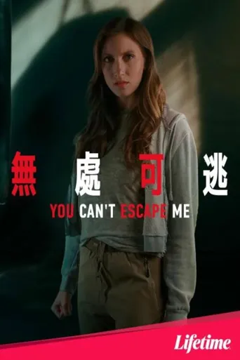 你逃不出我的手掌心海报