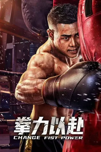 拳力以赴海报