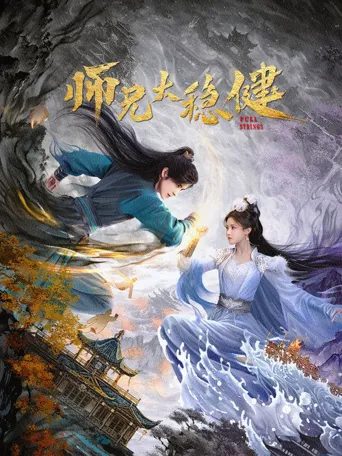 师兄太稳健海报