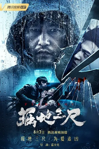 掘地三尺海报