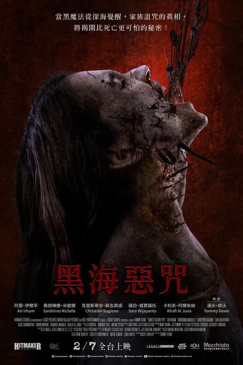 通灵巫古咒海报