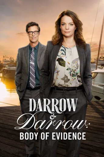 Darrow & Darrow 3海报