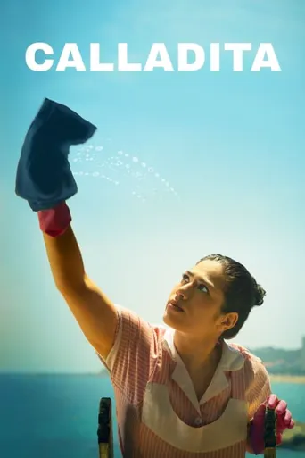 沉默的女仆海报
