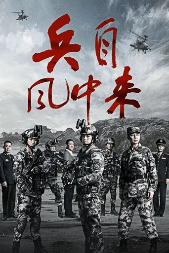 兵自风中来海报