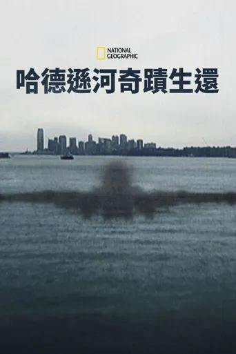 奇迹迫降哈德逊河海报