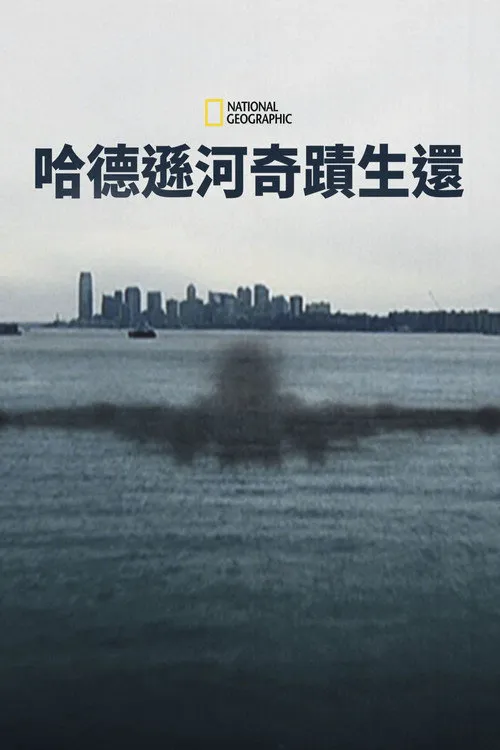 奇迹迫降哈德逊河海报