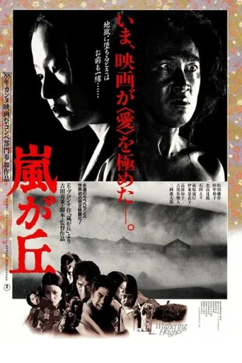 呼啸山庄海报