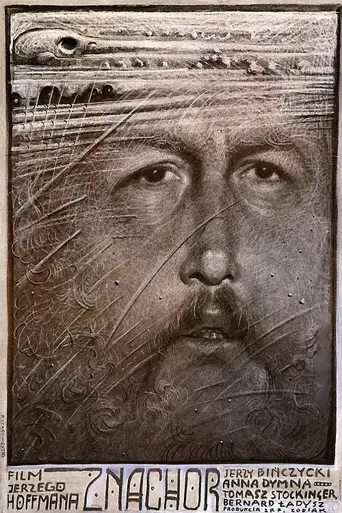 无证行医海报