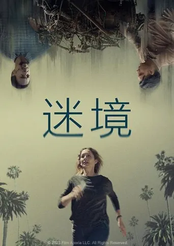 悖论海报