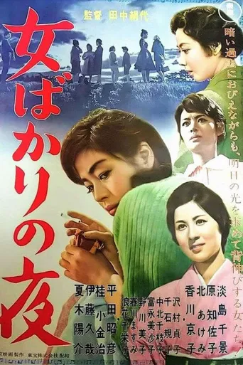 只有女人的夜晚海报