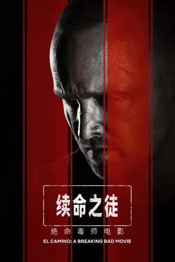 续命之徒：绝命毒师电影海报