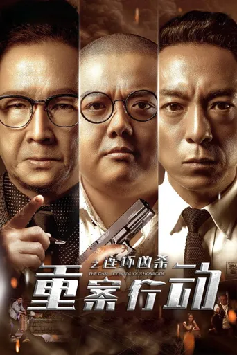 重案行动之连环凶杀海报