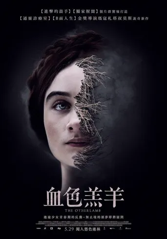 另一只羔羊海报