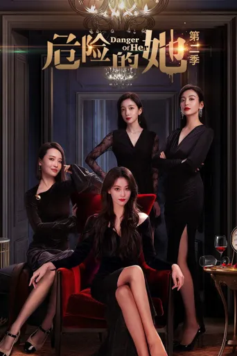 危险的她 第 2 季海报