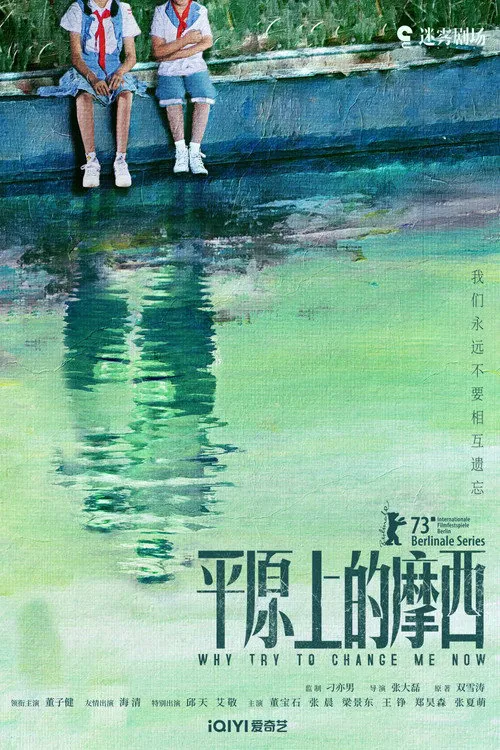 平原上的摩西海报