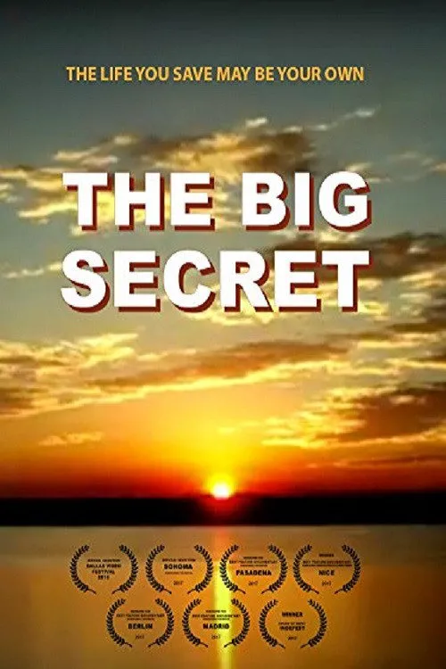 The Big Secret海报