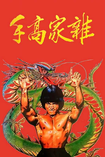 杂家高手海报