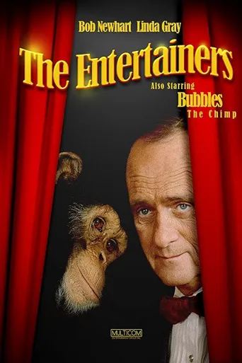 The Entertainers海报