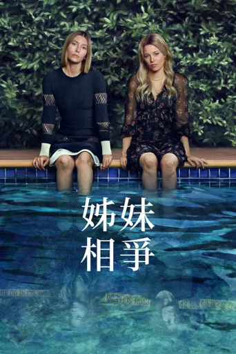 更好的姐妹海报