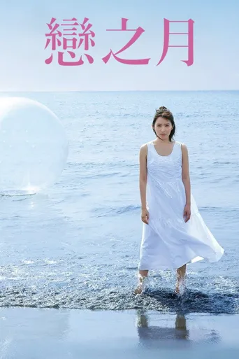 恋之运海报