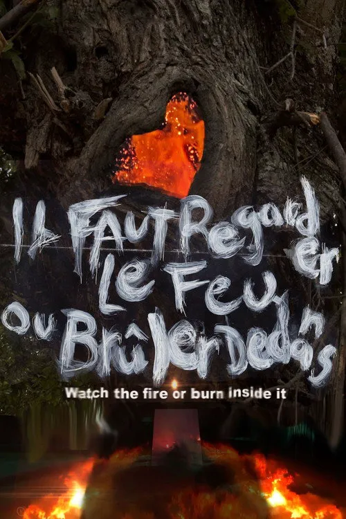 Il faut regarder le feu ou brûler dedans海报