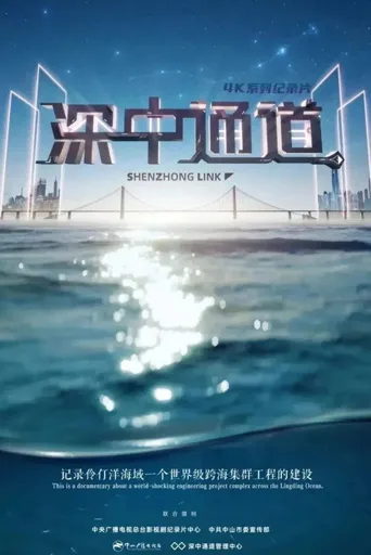 深中通道海报