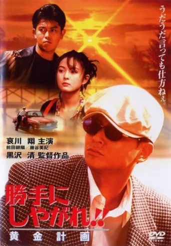 为所欲为：黄金计划海报