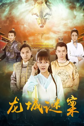 龙城谜案海报