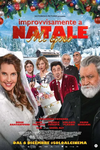 Improvvisamente a Natale mi sposo海报