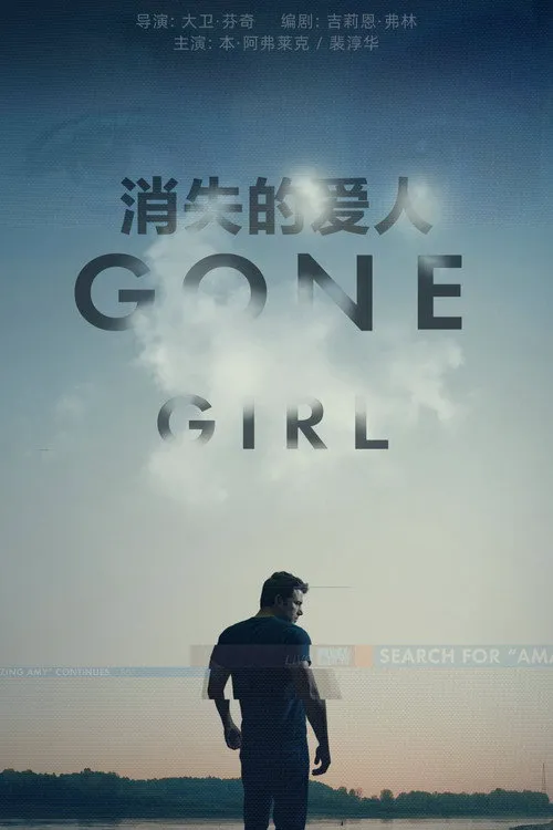 消失的爱人海报