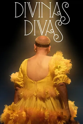 Divinas Divas海报