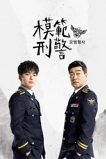 模范刑警海报