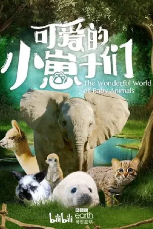 可爱的小崽子们海报