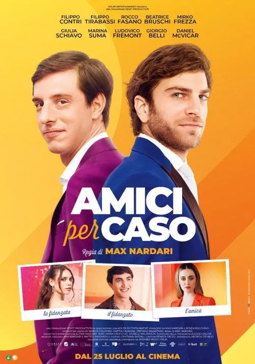 Amici per caso海报