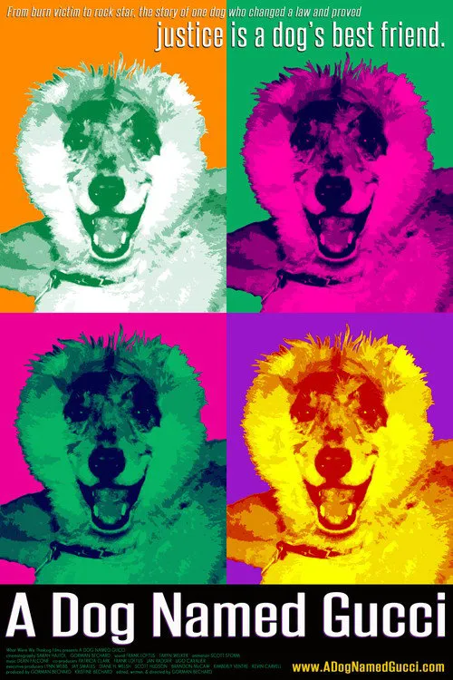A Dog Named Gucci海报