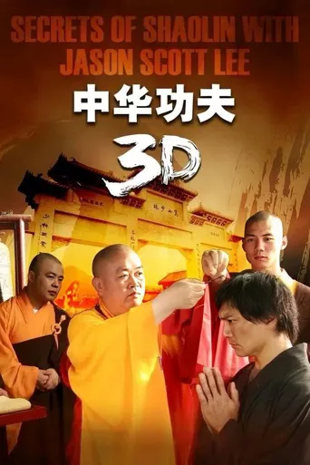 中华功夫海报