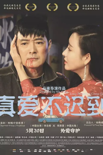 真爱不迟到海报