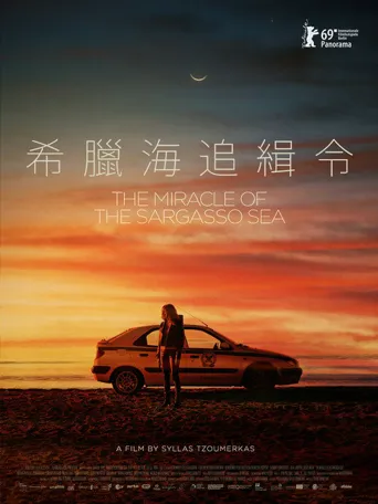 马尾藻海的奇迹海报