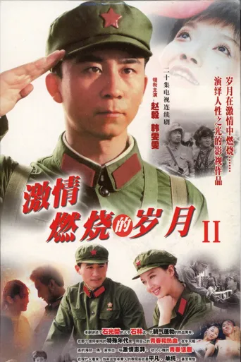 激情燃烧的岁月2海报