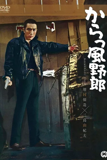 风野郎海报