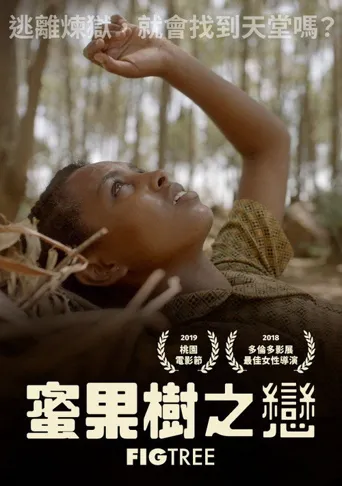 无花果之树海报