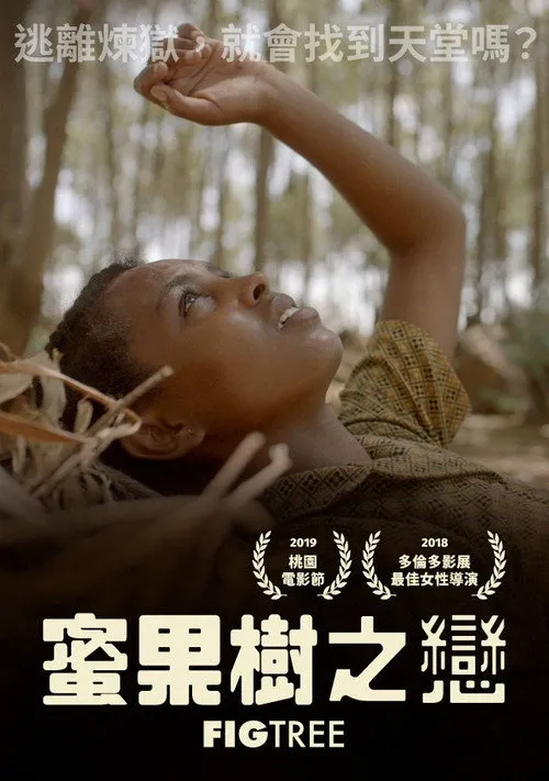 无花果之树海报