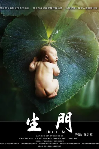 生门海报