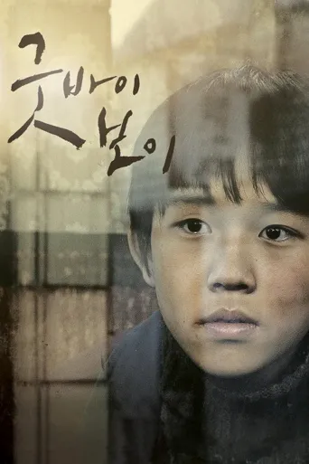 再见，男孩海报