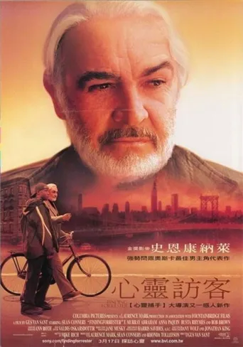 心灵访客海报