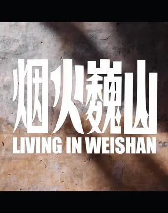 烟火巍山海报