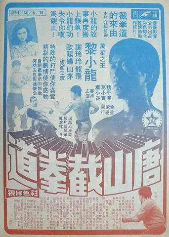 唐山截拳道海报