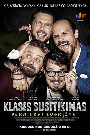 Klasės susitikimas. Berniukai sugrįžta!海报