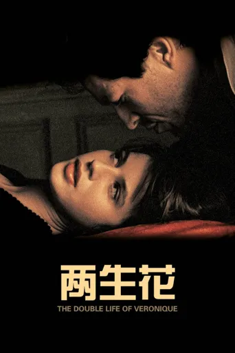 两生花海报